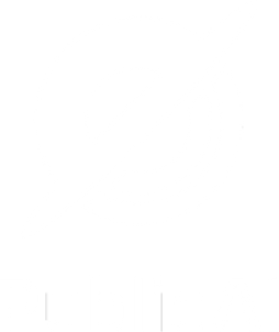 PublicAI-logo竖排-白.png